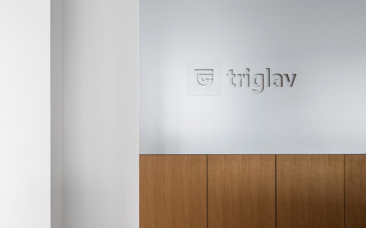 Triglav insurance company